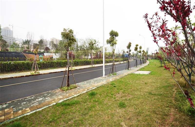 尊龙凯时人生就是搏·(中国区)官方网站