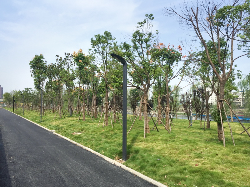 尊龙凯时人生就是搏·(中国区)官方网站