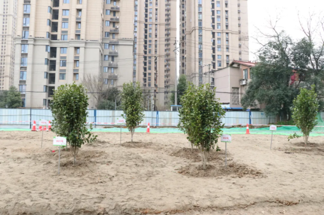 尊龙凯时人生就是搏·(中国区)官方网站