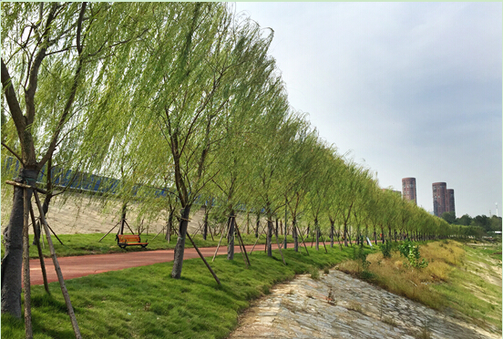 尊龙凯时人生就是搏·(中国区)官方网站