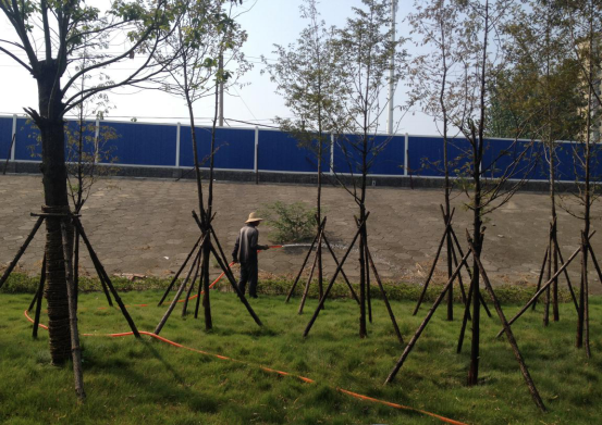 尊龙凯时人生就是搏·(中国区)官方网站