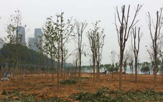 尊龙凯时人生就是搏·(中国区)官方网站