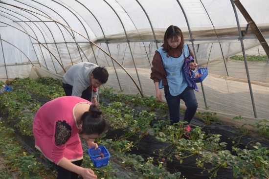 尊龙凯时人生就是搏·(中国区)官方网站