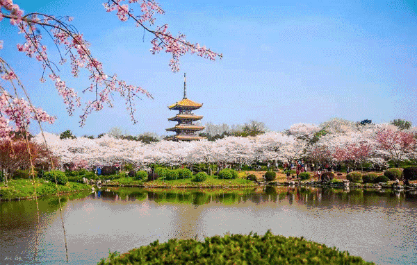 尊龙凯时人生就是搏·(中国区)官方网站