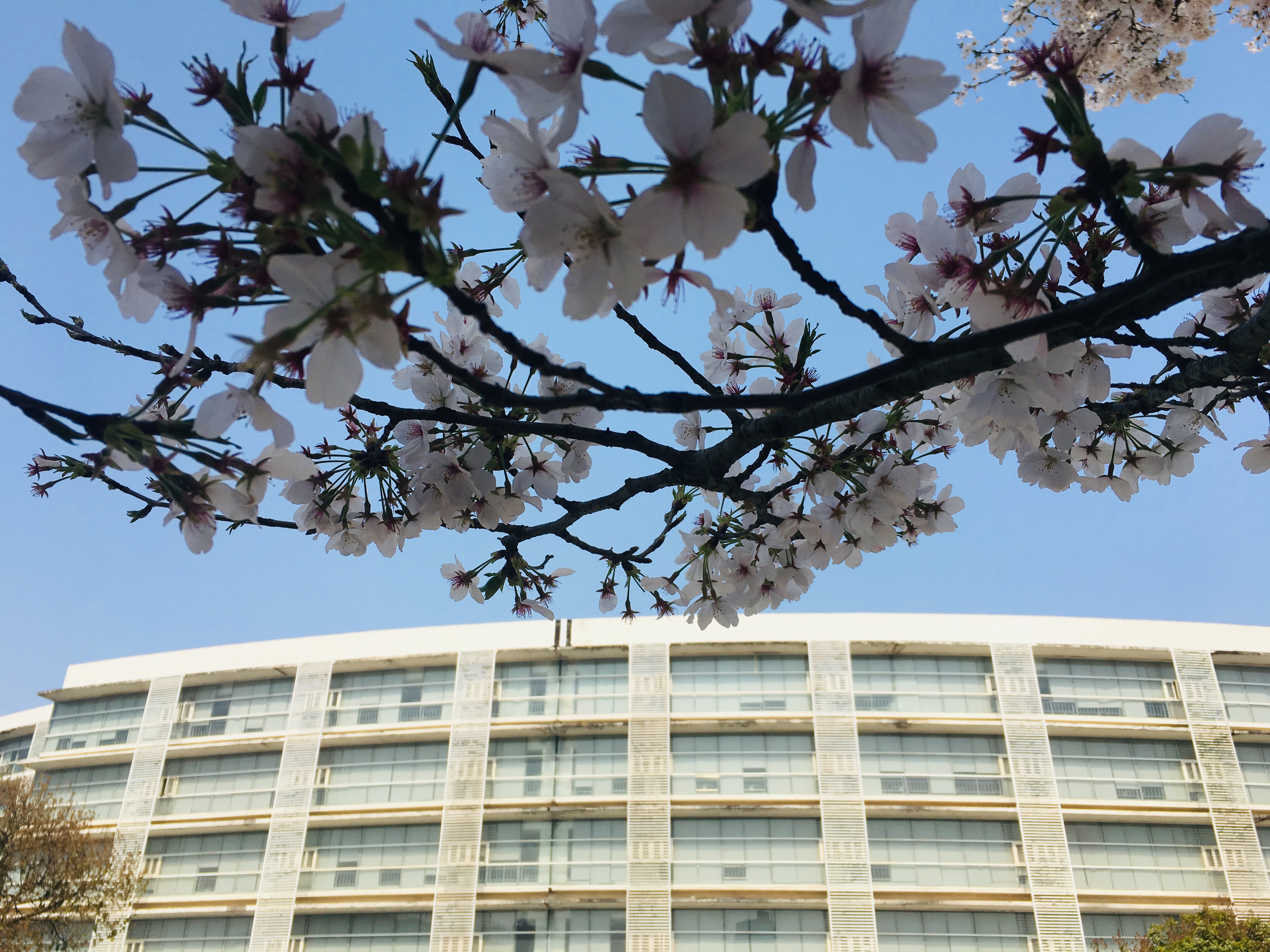 尊龙凯时人生就是搏·(中国区)官方网站